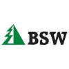 BSW Group